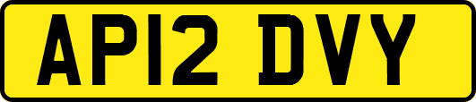 AP12DVY