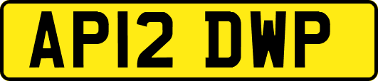 AP12DWP
