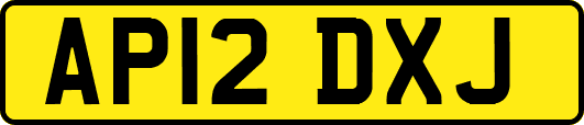 AP12DXJ