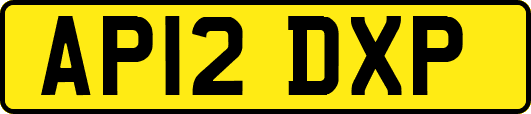 AP12DXP