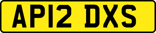AP12DXS