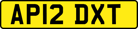 AP12DXT