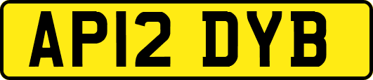AP12DYB