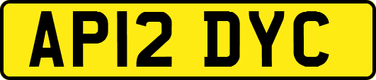 AP12DYC