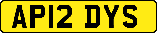 AP12DYS