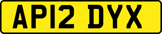 AP12DYX