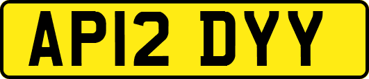 AP12DYY