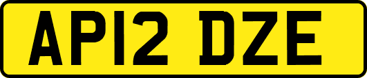 AP12DZE
