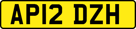 AP12DZH