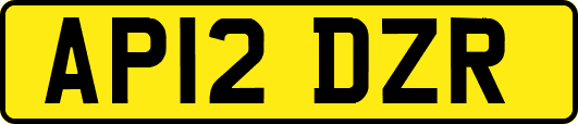 AP12DZR