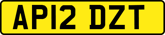 AP12DZT