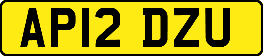 AP12DZU