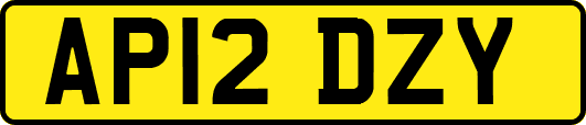 AP12DZY
