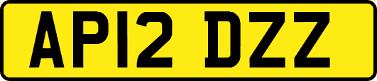 AP12DZZ