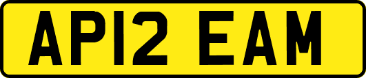 AP12EAM