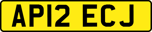 AP12ECJ
