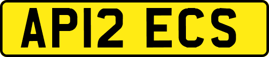 AP12ECS
