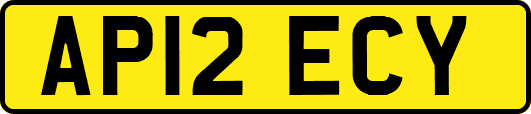 AP12ECY
