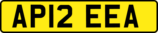 AP12EEA