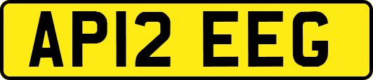 AP12EEG