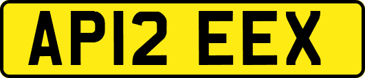AP12EEX