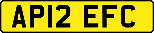 AP12EFC