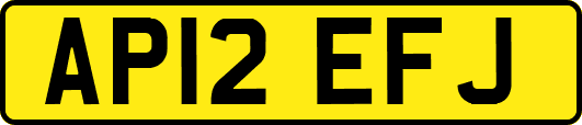 AP12EFJ