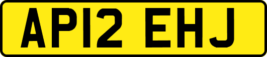 AP12EHJ