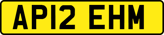 AP12EHM