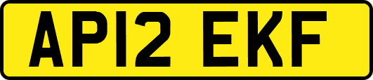 AP12EKF