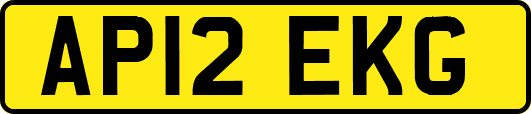 AP12EKG