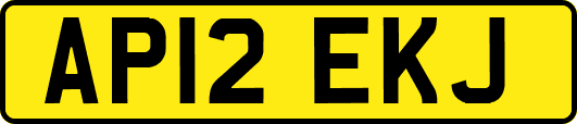 AP12EKJ