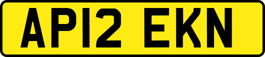 AP12EKN