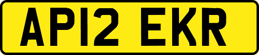 AP12EKR