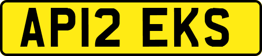 AP12EKS
