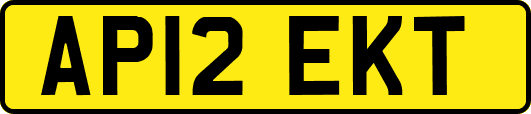 AP12EKT