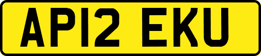AP12EKU