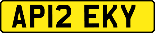 AP12EKY