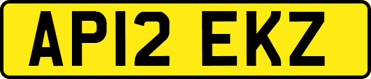 AP12EKZ
