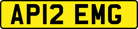 AP12EMG
