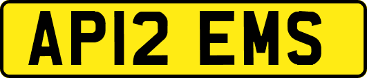 AP12EMS