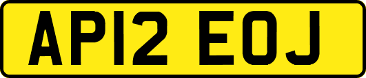 AP12EOJ
