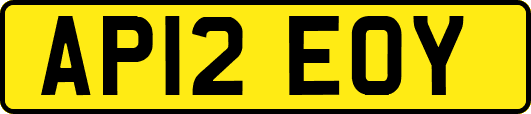 AP12EOY