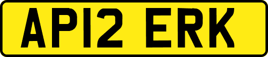 AP12ERK
