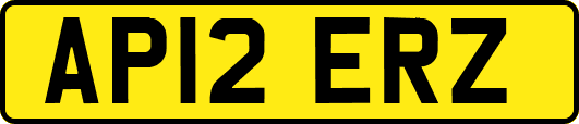 AP12ERZ