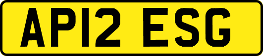 AP12ESG