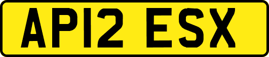 AP12ESX