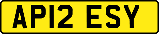 AP12ESY