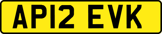 AP12EVK