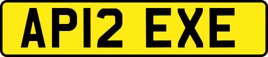 AP12EXE